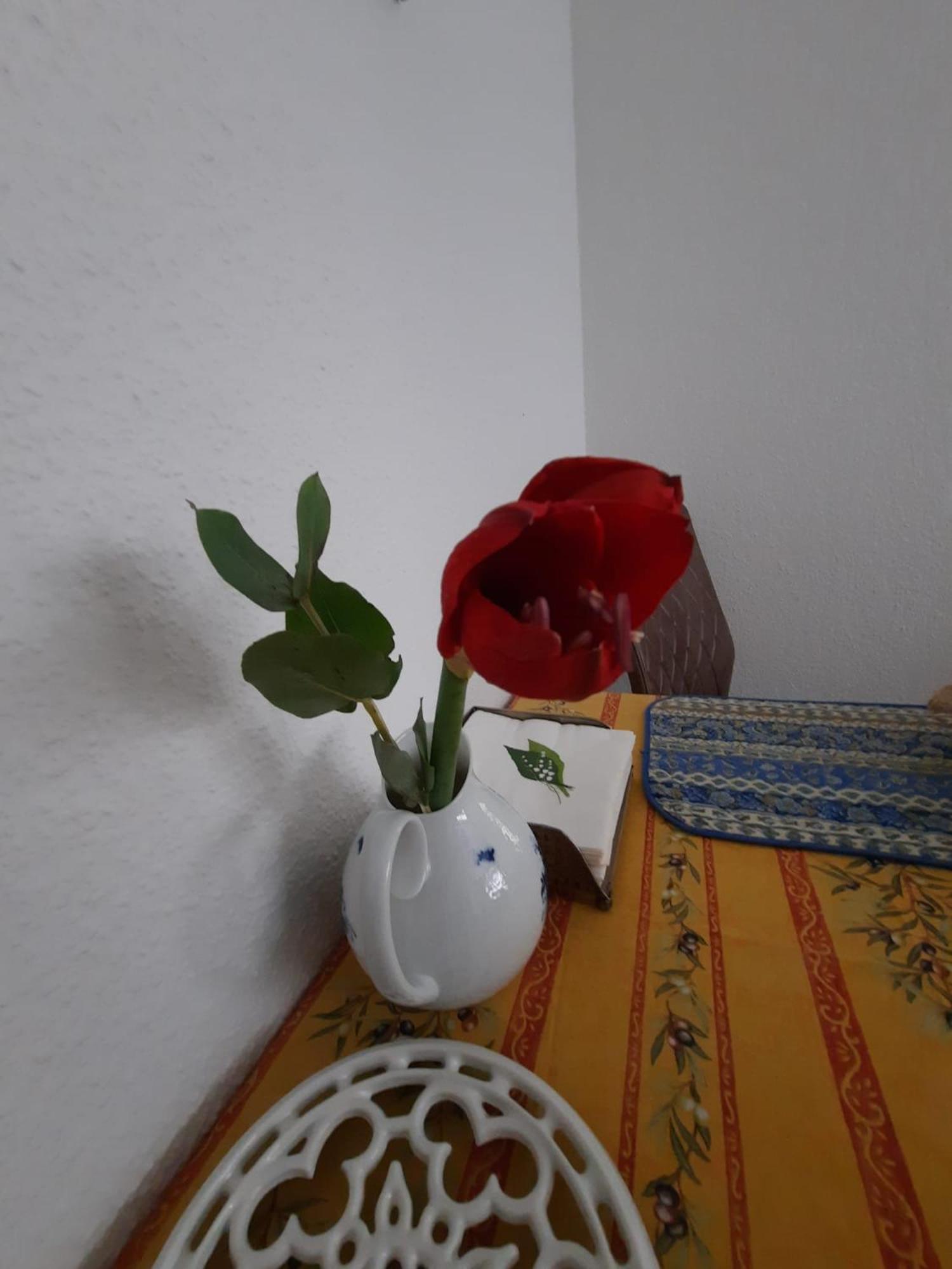 Gemuetliches Nest In Bester Koelner City-Wohnlage Luaran gambar